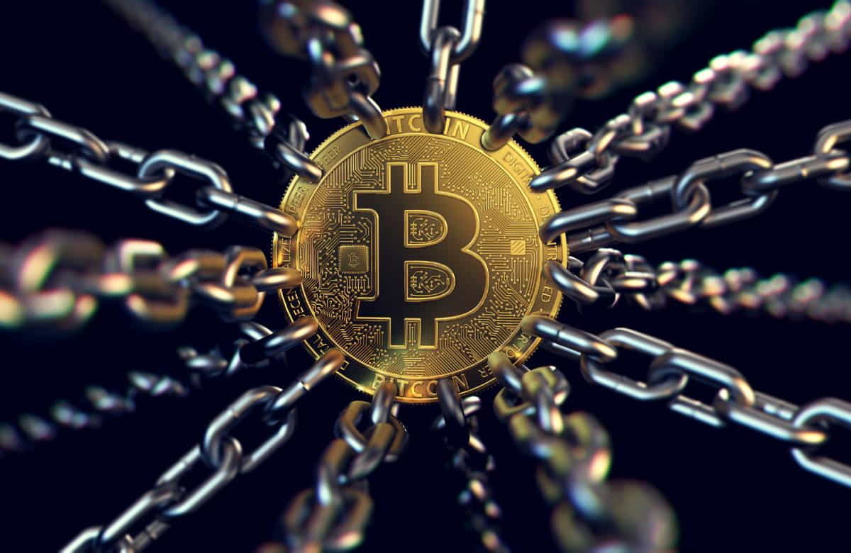 bitcoin chain info