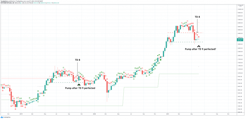 биткойн насос и дамп TD 9