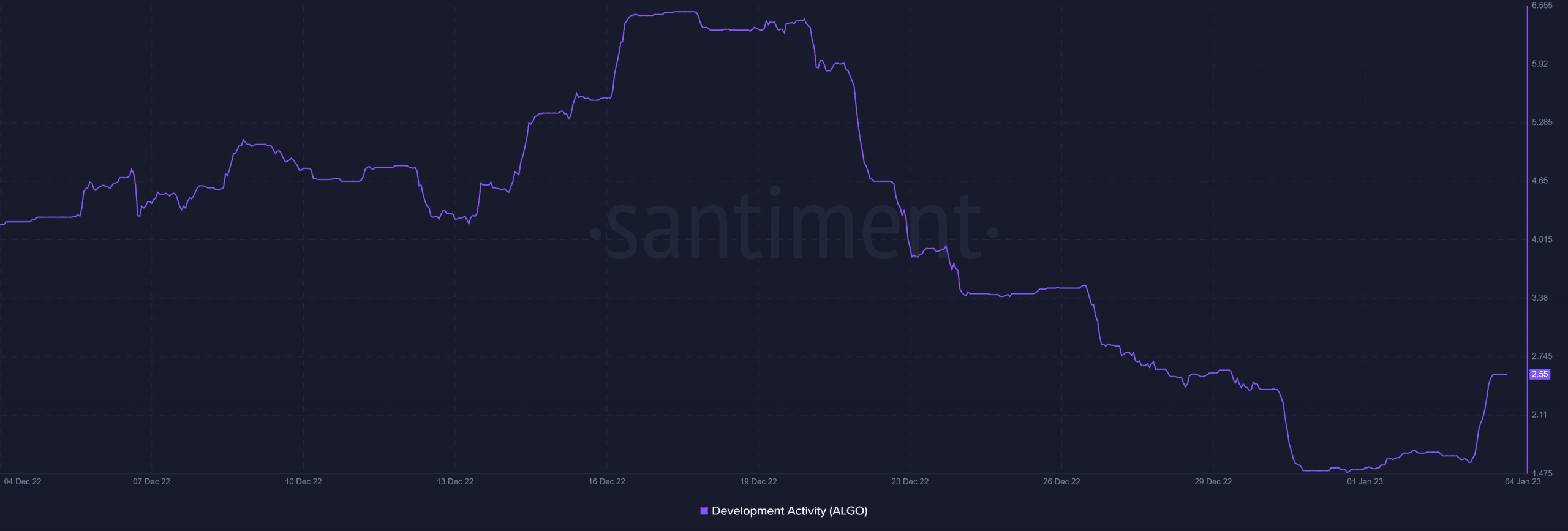 Algorand  деятельность по развитию